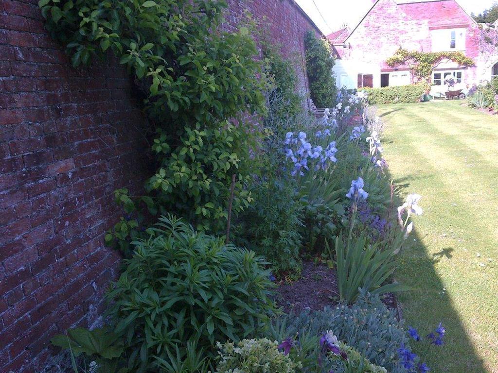 Coxley House Bed & Breakfast Wells Exterior photo